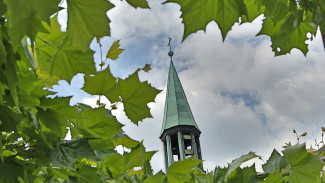 Dachreiter Erlöserkirche mit Plantanen