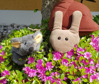 Pips und Sophia
